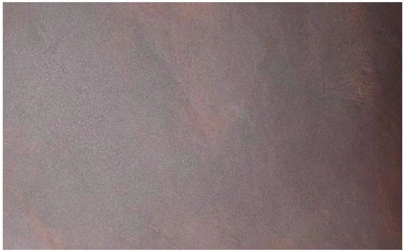 ELW Natural Full Grain Leather Square BB (12" x 24") 4/5 OZ (1.6/1.8 mm) Crafts/Tooling/Hobby/Repair Workshop Quality Leather Guaranteed | Bourbon Brown